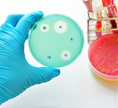 Microbial Testing Market by Application and Geography - Forecast and Analysis 2021-2025